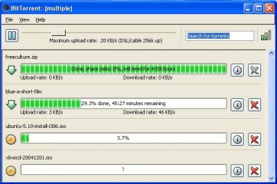 BitTorrent for Linux 5.0.9-1 screenshot