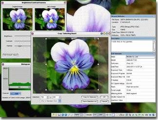 FastStone Capture 5.9 screenshot