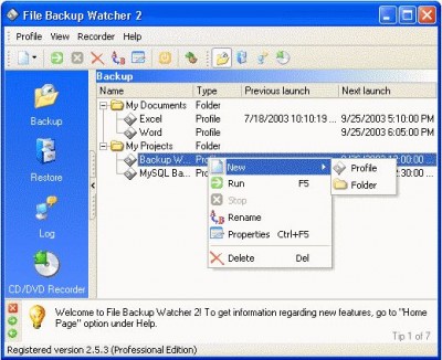 File Backup Watcher Free Edition 2.8.14 screenshot