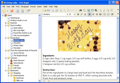 Info Angel 4.2 screenshot Info Angel 4.2 screenshot