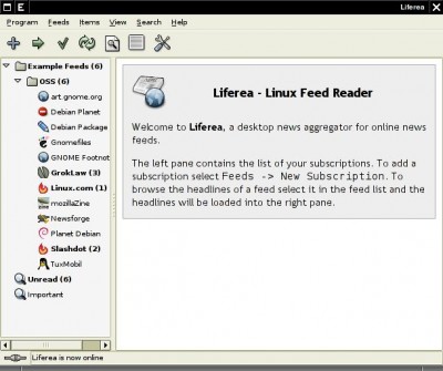 Liferea 1.4.5 screenshot