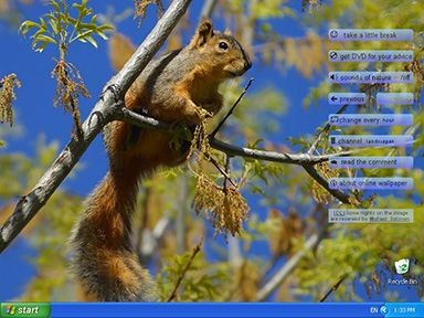 Nature Online Wallpapers 3.5 screenshot