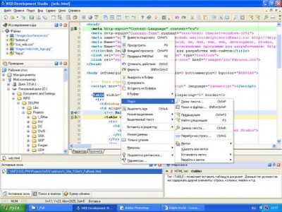 Web Development Studio 2.0 screenshot