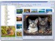 FastStone Image Viewer 3.4